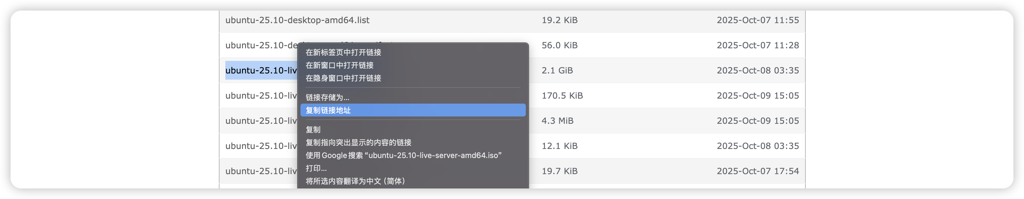 image-20251114220224274