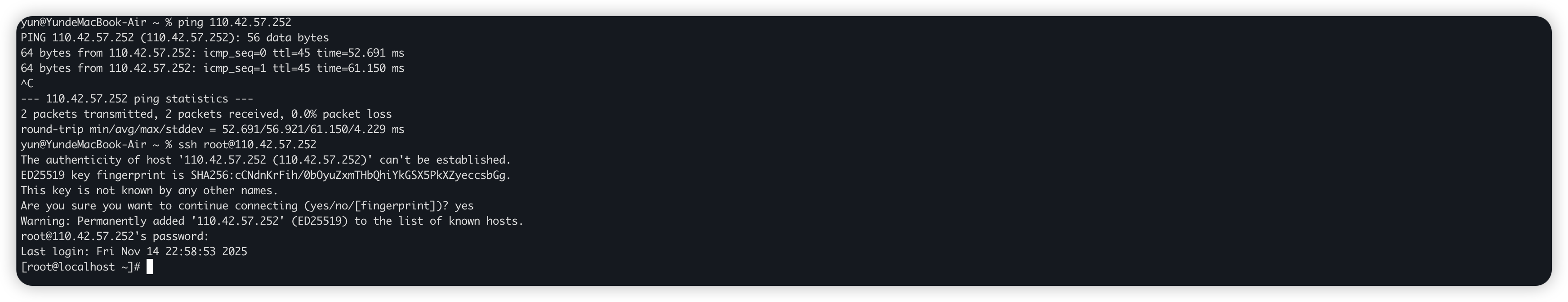 image-20251114230314397