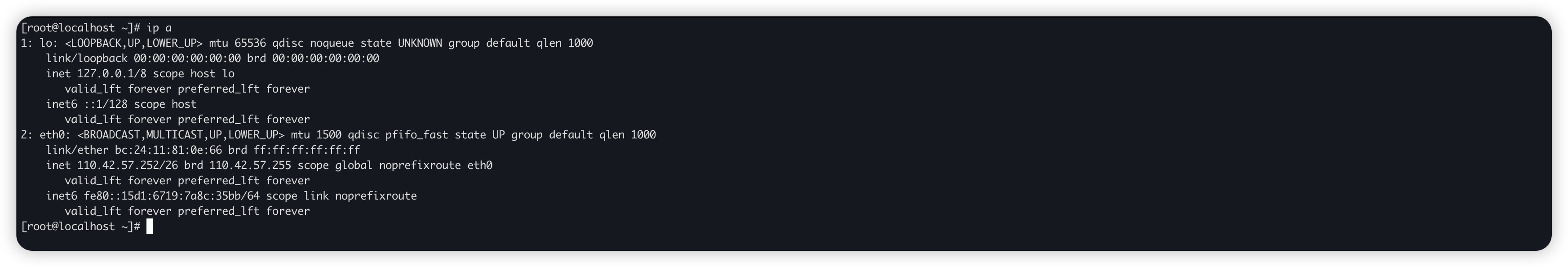 image-20251114231019525